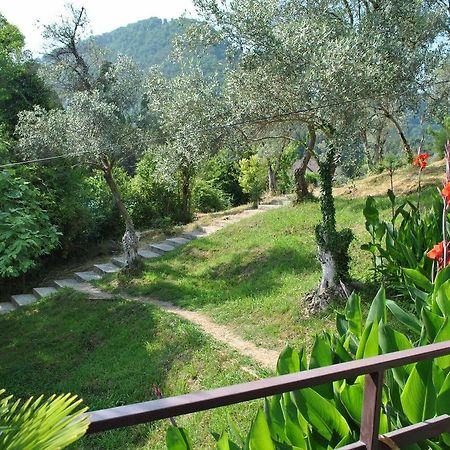 Villa Oliva New Athos Esterno foto