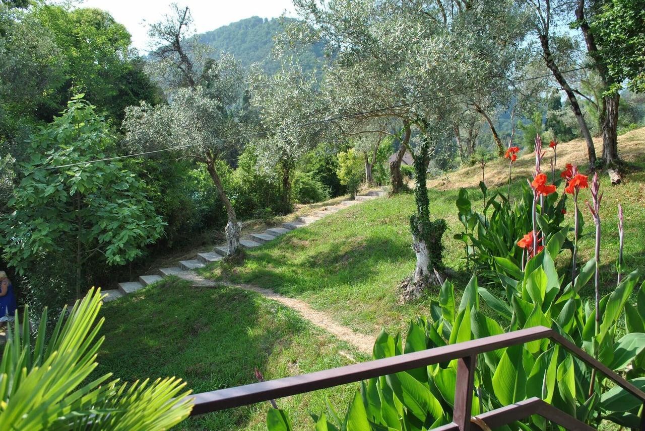 Villa Oliva New Athos Esterno foto